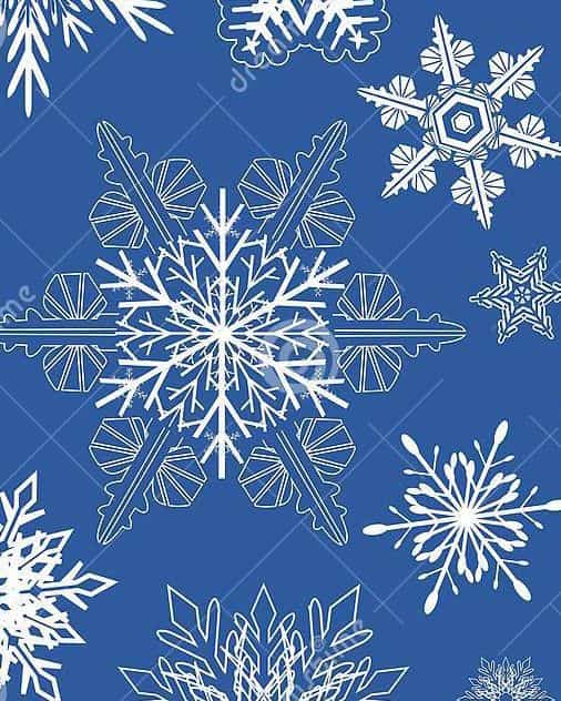 The Geometry of Snowflakes Workshop