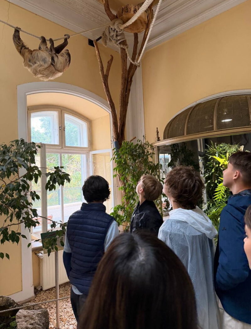 Students look up at a sloth hanging from an overhead rope inside a plant-filled animal house.