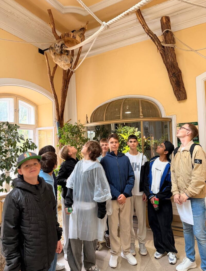 A group of students stands beneath a sloth resting near overhead ropes and wooden climbing structures.