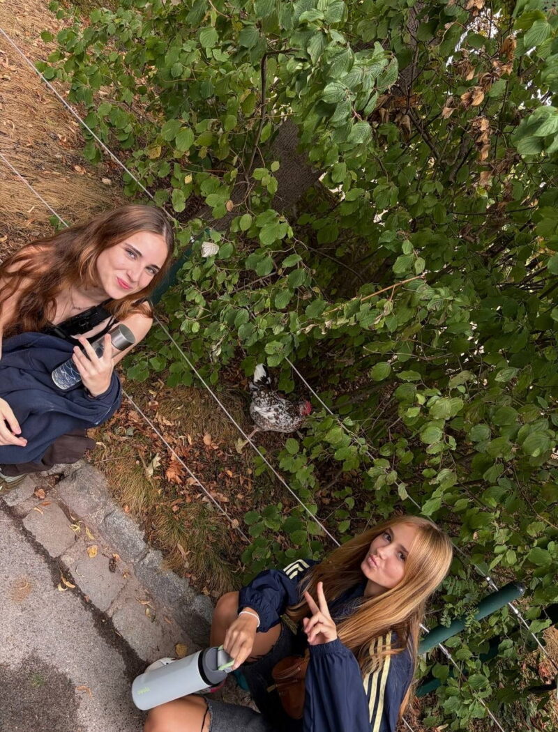 Two students crouch beside a low wire fence near a speckled bird standing beneath leafy bushes.