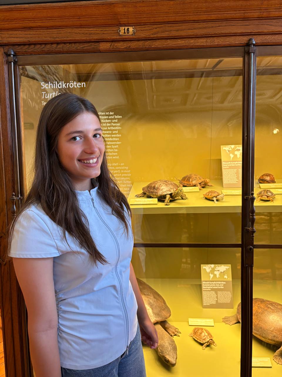 Schloss Krumbach International School student smiling beside a turtle display during a natural history museum excursion.