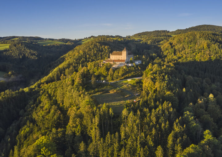Schloss Krumbach International School