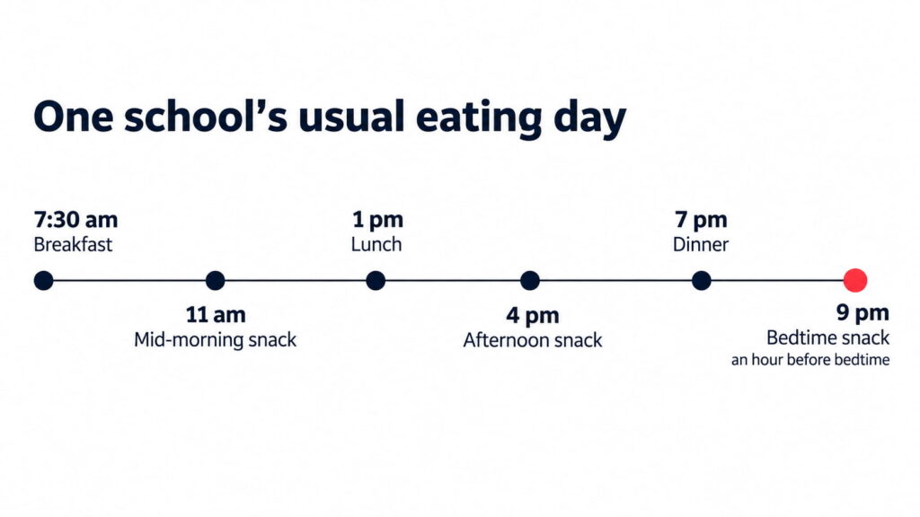 Timeline of the six usual meal and snack times at Schloss Krumbach International School